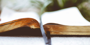 Preguntas bíblicas: ¿Qué es el libro de la vida?